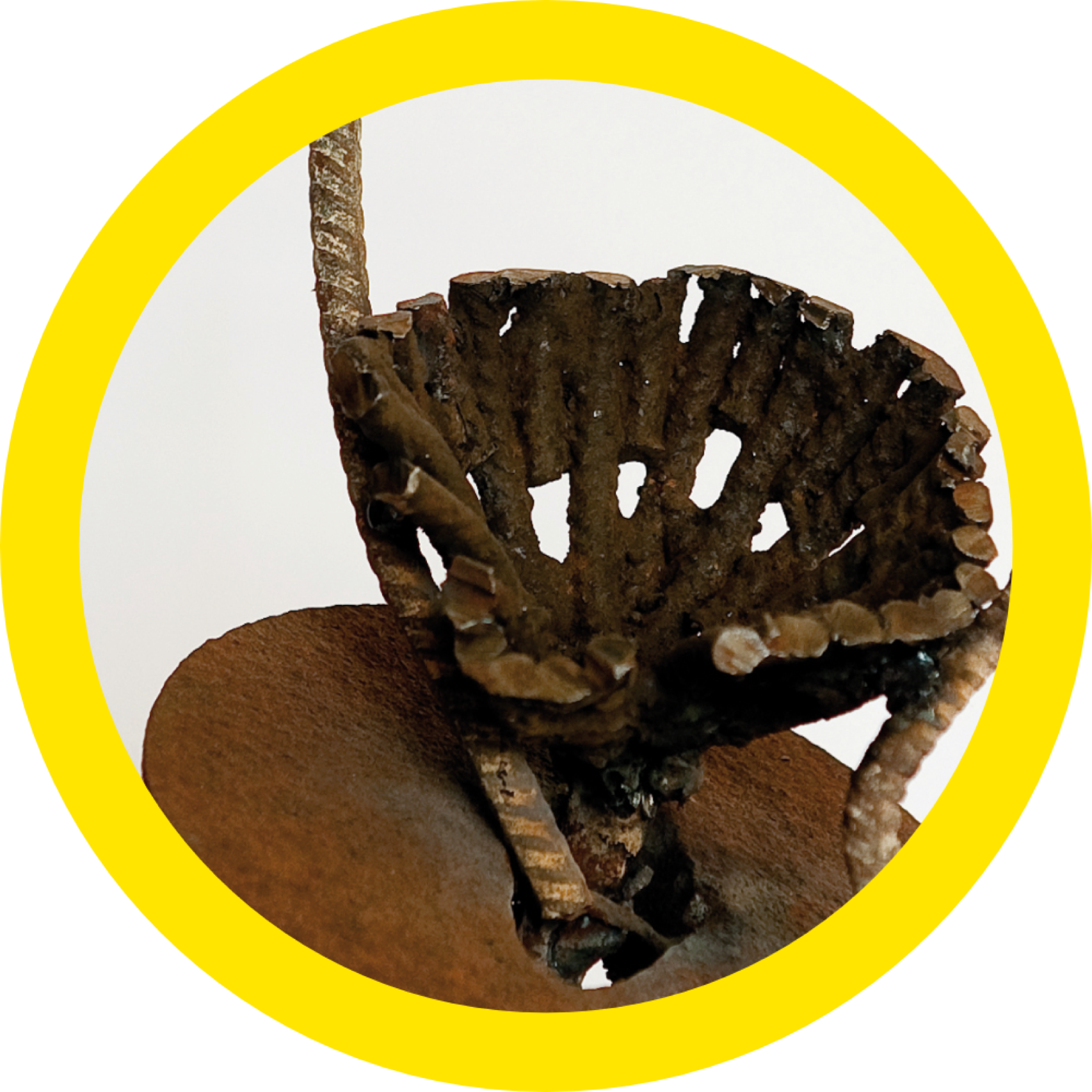 Anne Zablot à SequanArt